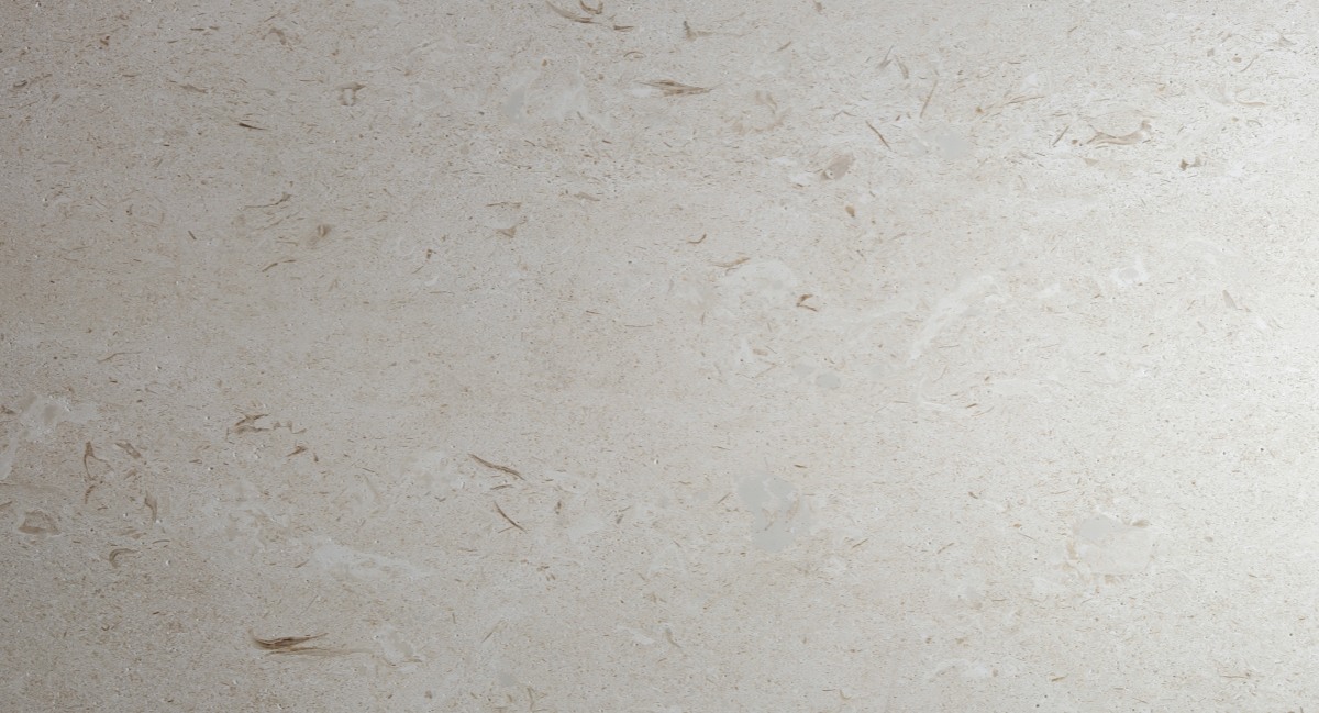 Close view of shell fossils, fine grains and small pores in Moonlight Beige Limestone