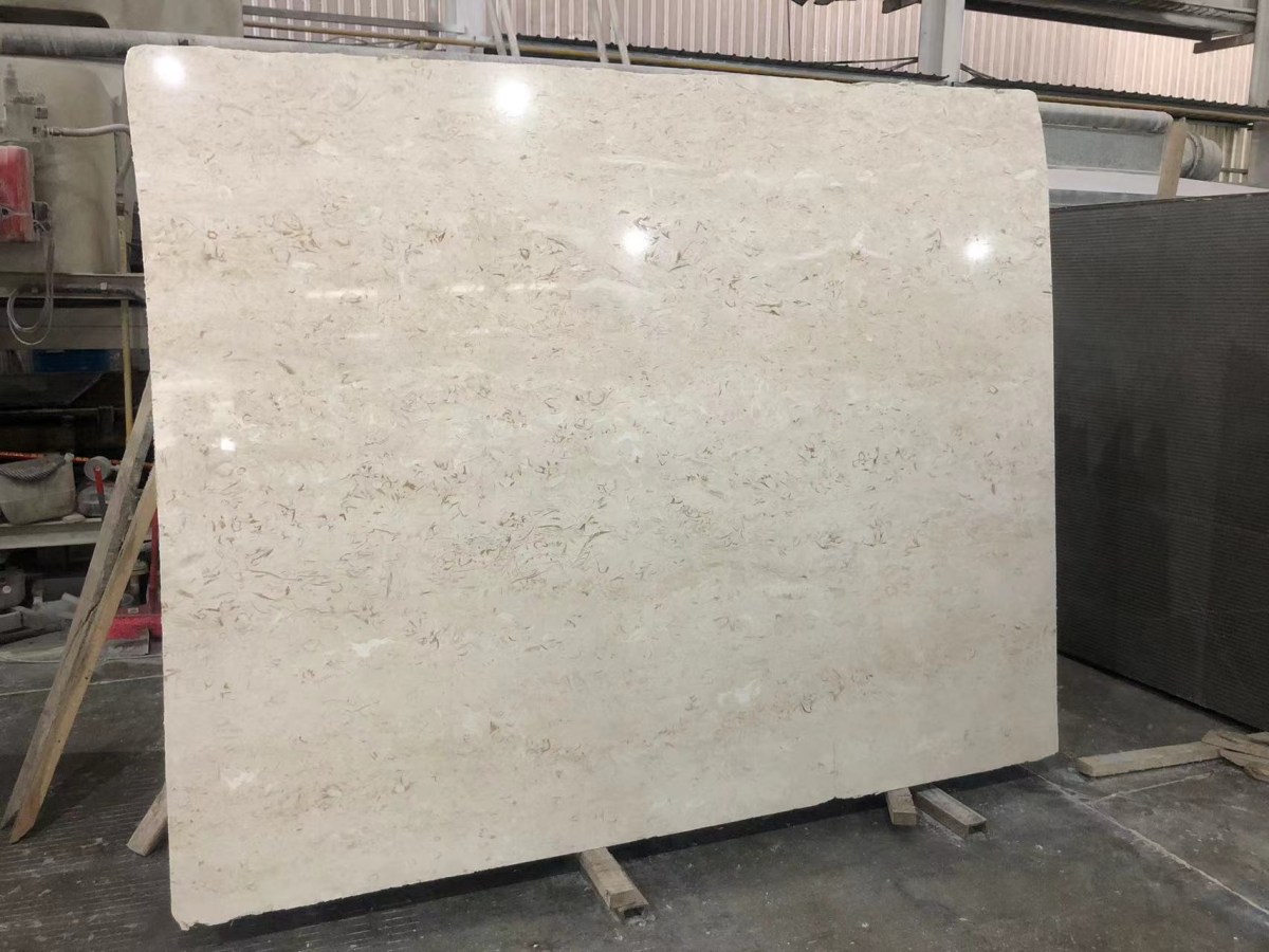  Moonlight Beige Limestone panel viewed from one metre to assess tone and fossil distribution